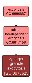 GO:0070625 - zymogen granule exocytosis (interactive image map)