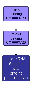 GO:0030627 - pre-mRNA 5'-splice site binding (interactive image map)