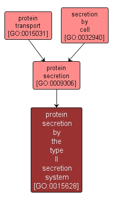 GO:0015628 - protein secretion by the type II secretion system (interactive image map)