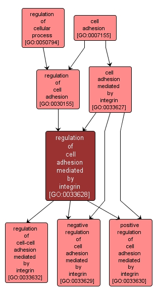 GO:0033628 - regulation of cell adhesion mediated by integrin (interactive image map)