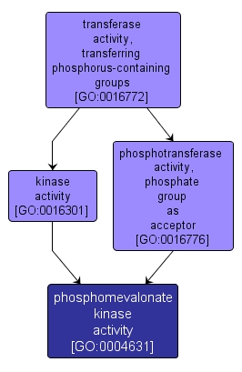 GO:0004631 - phosphomevalonate kinase activity (interactive image map)