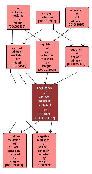 GO:0033632 - regulation of cell-cell adhesion mediated by integrin (interactive image map)