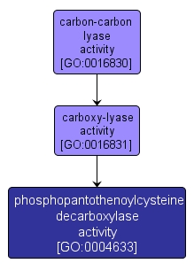GO:0004633 - phosphopantothenoylcysteine decarboxylase activity (interactive image map)
