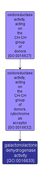 GO:0016633 - galactonolactone dehydrogenase activity (interactive image map)