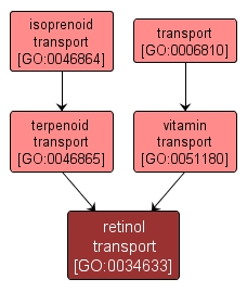 GO:0034633 - retinol transport (interactive image map)