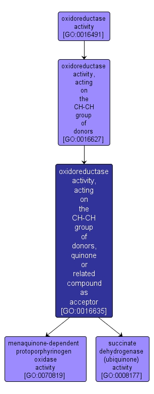 GO:0016635 - oxidoreductase activity, acting on the CH-CH group of donors, quinone or related compound as acceptor (interactive image map)