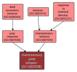 GO:0007636 - chemosensory jump behavior (interactive image map)