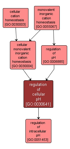 GO:0030641 - regulation of cellular pH (interactive image map)