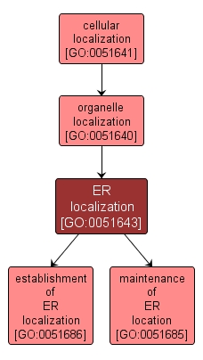 GO:0051643 - ER localization (interactive image map)