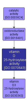 GO:0070643 - vitamin D 25-hydroxylase activity (interactive image map)