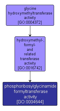 GO:0004644 - phosphoribosylglycinamide formyltransferase activity (interactive image map)