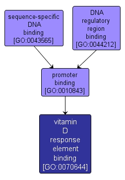 GO:0070644 - vitamin D response element binding (interactive image map)