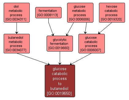 GO:0019650 - glucose catabolic process to butanediol (interactive image map)