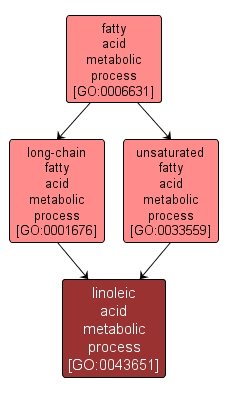 GO:0043651 - linoleic acid metabolic process (interactive image map)
