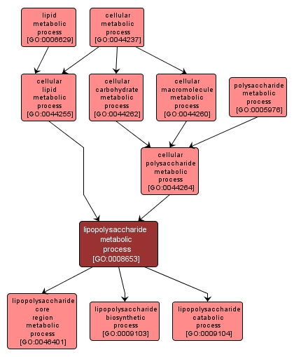GO:0008653 - lipopolysaccharide metabolic process (interactive image map)