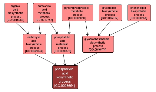GO:0006654 - phosphatidic acid biosynthetic process (interactive image map)