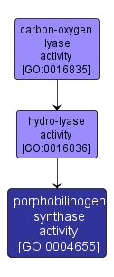 GO:0004655 - porphobilinogen synthase activity (interactive image map)