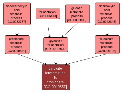 GO:0019657 - pyruvate fermentation to propionate (interactive image map)
