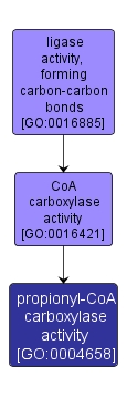 GO:0004658 - propionyl-CoA carboxylase activity (interactive image map)