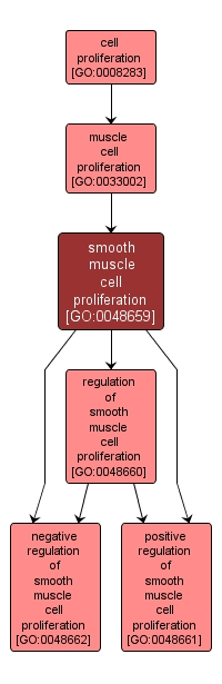 GO:0048659 - smooth muscle cell proliferation (interactive image map)