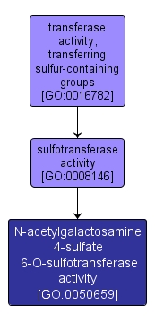 GO:0050659 - N-acetylgalactosamine 4-sulfate 6-O-sulfotransferase activity (interactive image map)