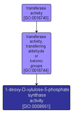GO:0008661 - 1-deoxy-D-xylulose-5-phosphate synthase activity (interactive image map)