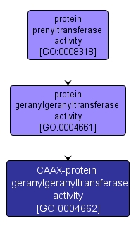 GO:0004662 - CAAX-protein geranylgeranyltransferase activity (interactive image map)