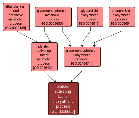 GO:0006663 - platelet activating factor biosynthetic process (interactive image map)