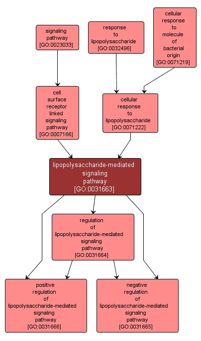 GO:0031663 - lipopolysaccharide-mediated signaling pathway (interactive image map)
