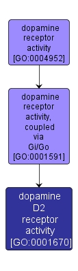 GO:0001670 - dopamine D2 receptor activity (interactive image map)