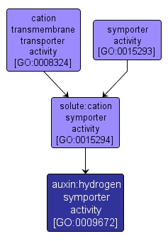 GO:0009672 - auxin:hydrogen symporter activity (interactive image map)