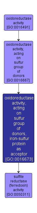 GO:0016673 - oxidoreductase activity, acting on sulfur group of donors, iron-sulfur protein as acceptor (interactive image map)