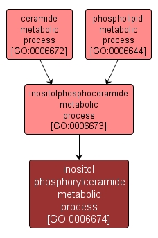GO:0006674 - inositol phosphorylceramide metabolic process (interactive image map)