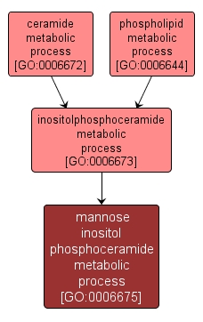 GO:0006675 - mannose inositol phosphoceramide metabolic process (interactive image map)