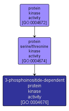 GO:0004676 - 3-phosphoinositide-dependent protein kinase activity (interactive image map)