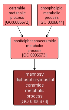 GO:0006676 - mannosyl diphosphorylinositol ceramide metabolic process (interactive image map)