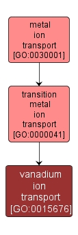 GO:0015676 - vanadium ion transport (interactive image map)