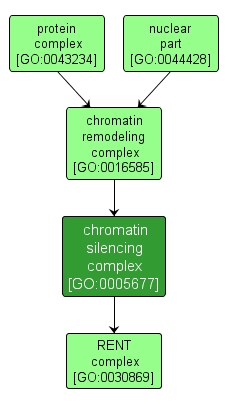 GO:0005677 - chromatin silencing complex (interactive image map)