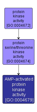 GO:0004679 - AMP-activated protein kinase activity (interactive image map)