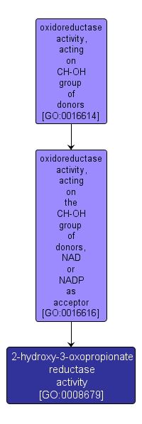 GO:0008679 - 2-hydroxy-3-oxopropionate reductase activity (interactive image map)