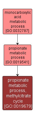 GO:0019679 - propionate metabolic process, methylcitrate cycle (interactive image map)