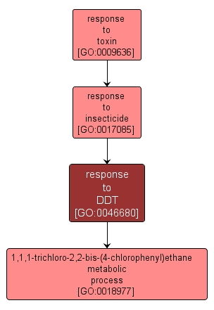GO:0046680 - response to DDT (interactive image map)