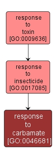 GO:0046681 - response to carbamate (interactive image map)
