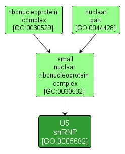 GO:0005682 - U5 snRNP (interactive image map)