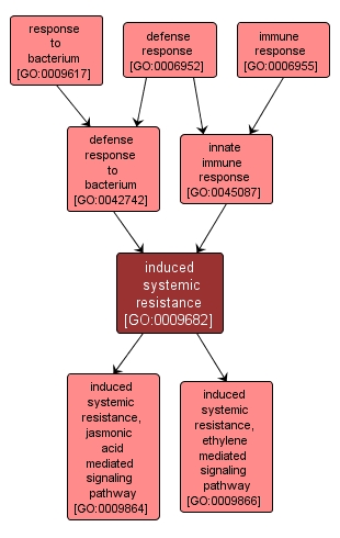 GO:0009682 - induced systemic resistance (interactive image map)