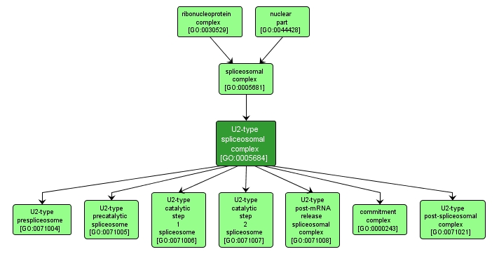 GO:0005684 - U2-type spliceosomal complex (interactive image map)