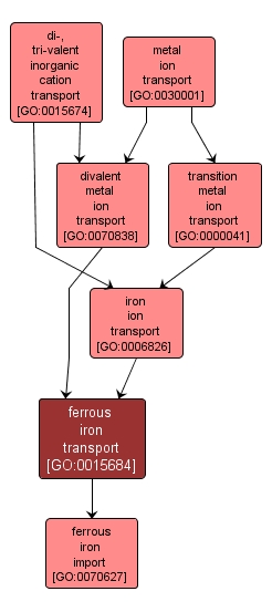 GO:0015684 - ferrous iron transport (interactive image map)