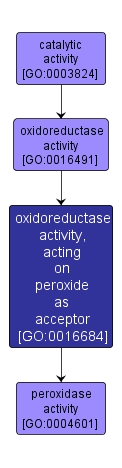 GO:0016684 - oxidoreductase activity, acting on peroxide as acceptor (interactive image map)