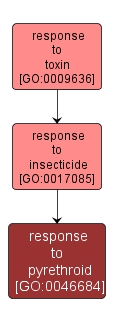 GO:0046684 - response to pyrethroid (interactive image map)