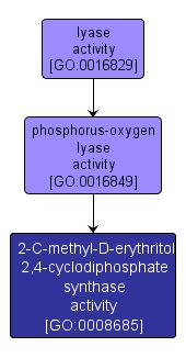 GO:0008685 - 2-C-methyl-D-erythritol 2,4-cyclodiphosphate synthase activity (interactive image map)